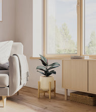 Load image into Gallery viewer, Almond Green stand:bamboo