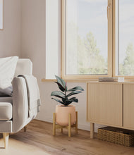 Load image into Gallery viewer, Gentle Pink stand:bamboo