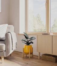 Load image into Gallery viewer, Mustard stand:bamboo