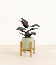 Load image into Gallery viewer, Turquoise stand:bamboo