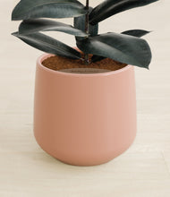 Load image into Gallery viewer, Calm Rose stand:all