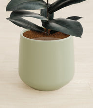 Load image into Gallery viewer, Turquoise stand:all