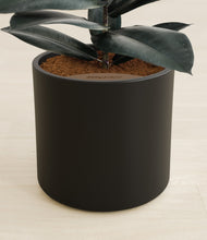 Load image into Gallery viewer, Black stand:all