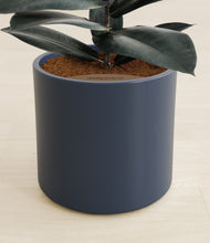 Load image into Gallery viewer, Deep Navy stand:all