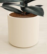 Load image into Gallery viewer, Cream stand:all