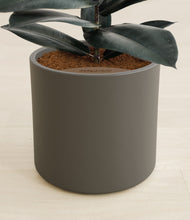 Load image into Gallery viewer, Dark Olive stand:all