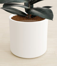 Load image into Gallery viewer, White stand:all