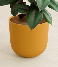 Load image into Gallery viewer, Sunset Orange stand:all