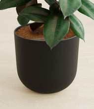 Load image into Gallery viewer, Stone Black stand:all