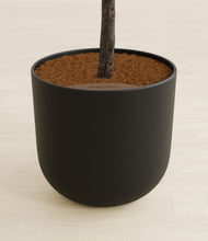 Load image into Gallery viewer, Stone Black