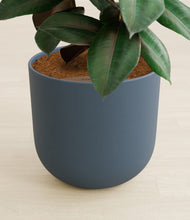 Load image into Gallery viewer, Iron Gray stand:all