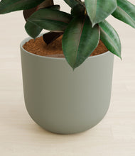 Load image into Gallery viewer, Sage Green stand:all