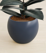 Load image into Gallery viewer, Deep Navy stand:all