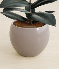 Load image into Gallery viewer, Winter Clouds stand:all