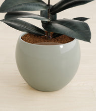 Load image into Gallery viewer, Deep Ocean stand:all