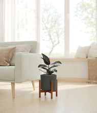 Load image into Gallery viewer, Dark Olive stand:walnut