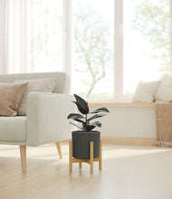 Load image into Gallery viewer, Dark Olive stand:bamboo