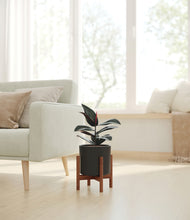 Load image into Gallery viewer, Black stand:walnut