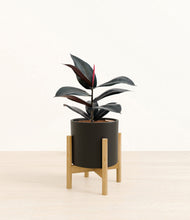 Load image into Gallery viewer, Black stand:bamboo