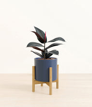 Load image into Gallery viewer, Deep Navy stand:bamboo