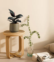 Load image into Gallery viewer, Olive