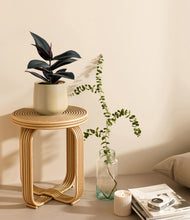 Load image into Gallery viewer, Almond Green