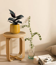 Load image into Gallery viewer, Mustard