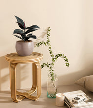 Load image into Gallery viewer, Winter Clouds