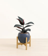 Load image into Gallery viewer, Deep Navy stand:bamboo