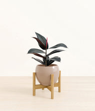 Load image into Gallery viewer, Desert Brown stand:bamboo