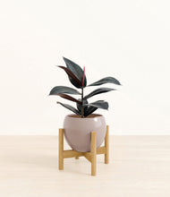 Load image into Gallery viewer, Winter Clouds stand:bamboo