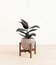 Load image into Gallery viewer, Winter Clouds stand:walnut