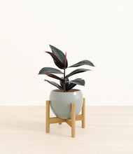 Load image into Gallery viewer, Deep Ocean stand:bamboo