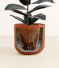 Load image into Gallery viewer, Earth Red