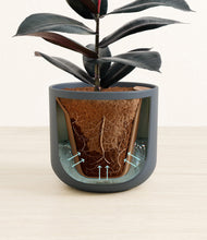 Load image into Gallery viewer, Iron Gray