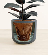 Load image into Gallery viewer, Iron Gray stand:all