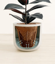 Load image into Gallery viewer, Natural Bamboo stand:all
