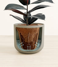 Load image into Gallery viewer, Sage Green