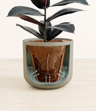 Load image into Gallery viewer, Sage Green stand:all