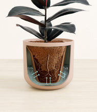 Load image into Gallery viewer, Sandy Pink