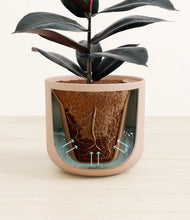 Load image into Gallery viewer, Sandy Pink stand:all