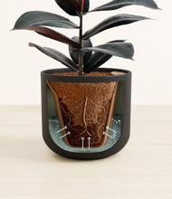Load image into Gallery viewer, Stone Black stand:all