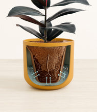 Load image into Gallery viewer, Sunset Orange