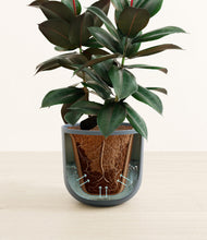 Load image into Gallery viewer, Iron Gray stand:all