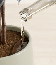 Load image into Gallery viewer, Turquoise stand:all