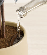 Load image into Gallery viewer, Almond Green stand:all