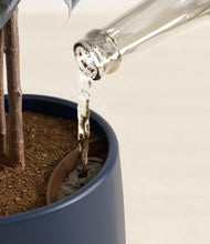 Load image into Gallery viewer, Deep Navy stand:all