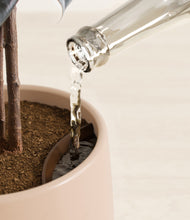 Load image into Gallery viewer, Gentle Pink stand:all