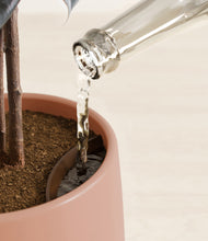 Load image into Gallery viewer, Calm Rose stand:all