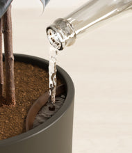 Load image into Gallery viewer, Dark Olive stand:all